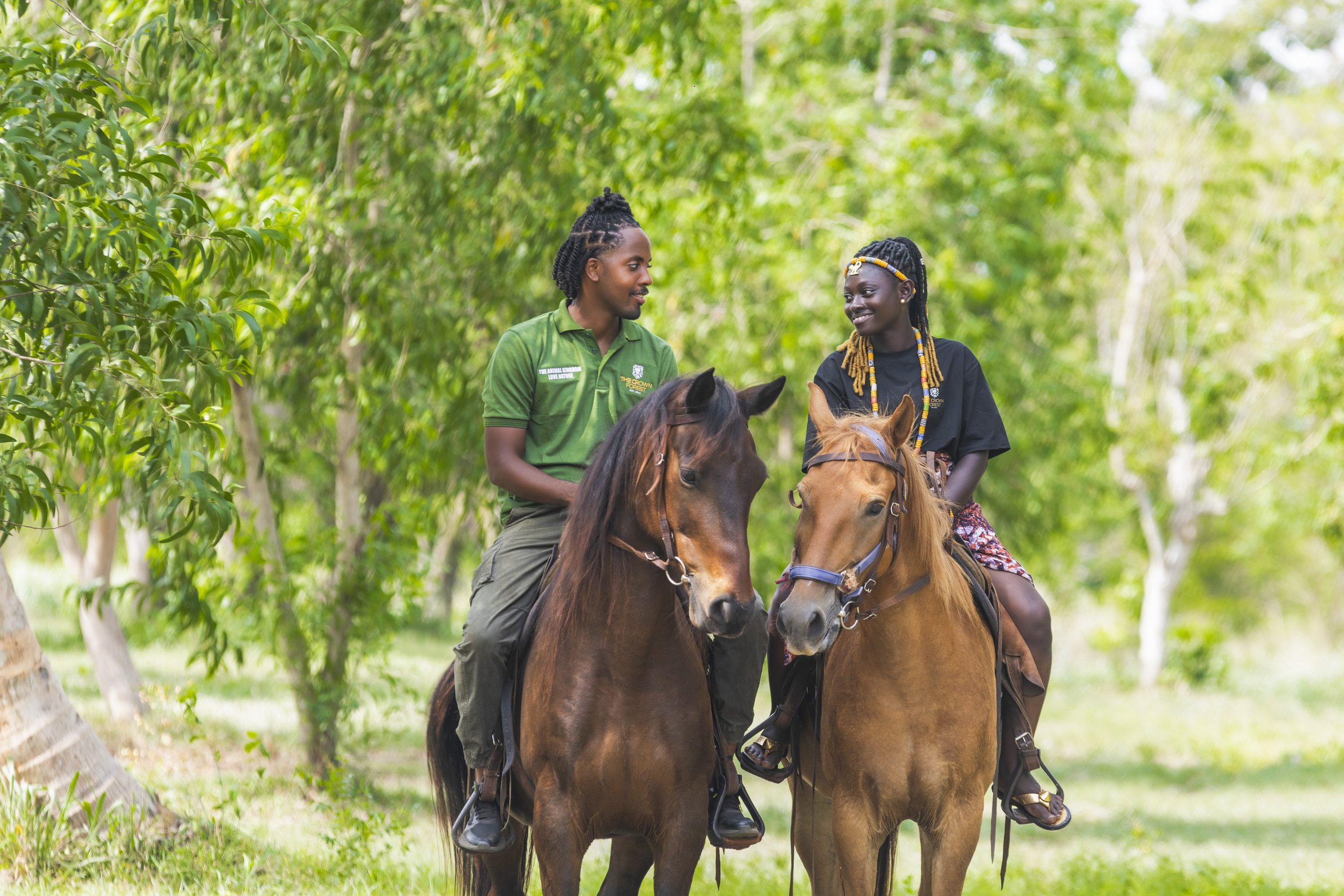Horseback Safari