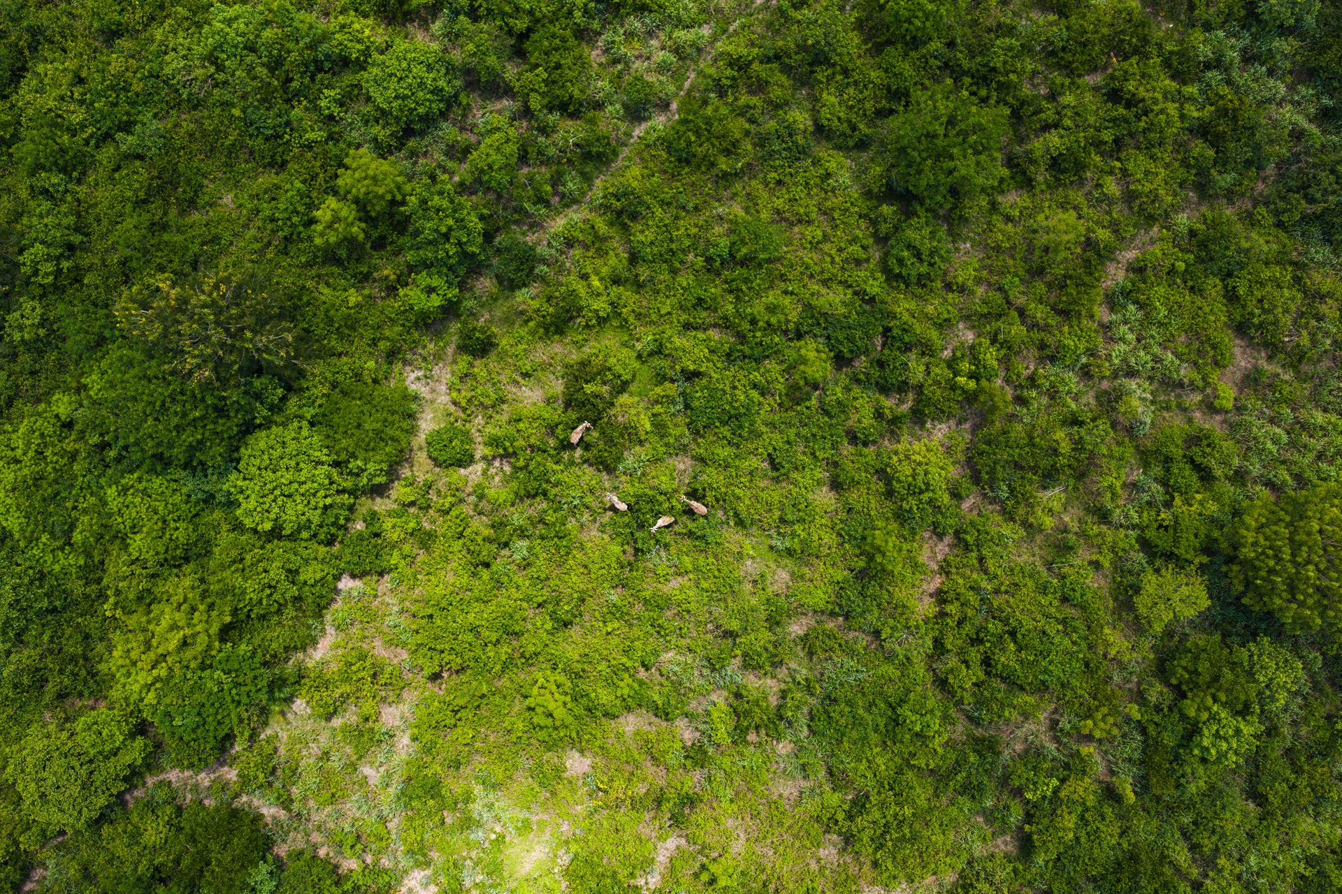 Reserve Landscape