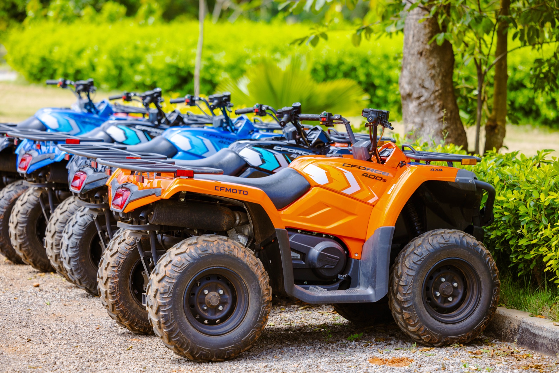 Safari Ride