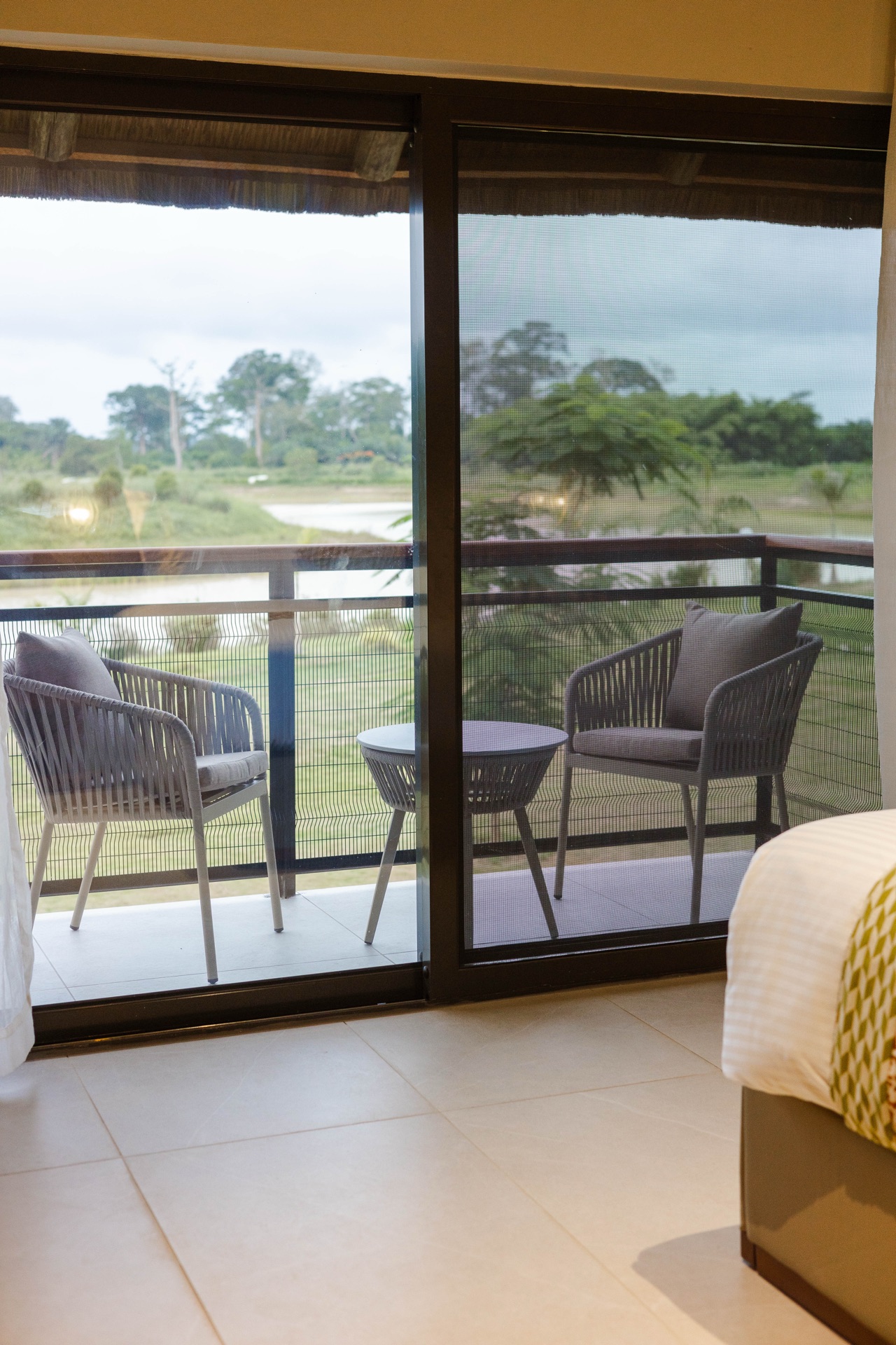 Forest View Window